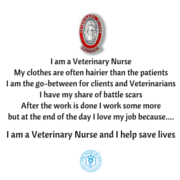 I am a Veterinary Nurse (2)