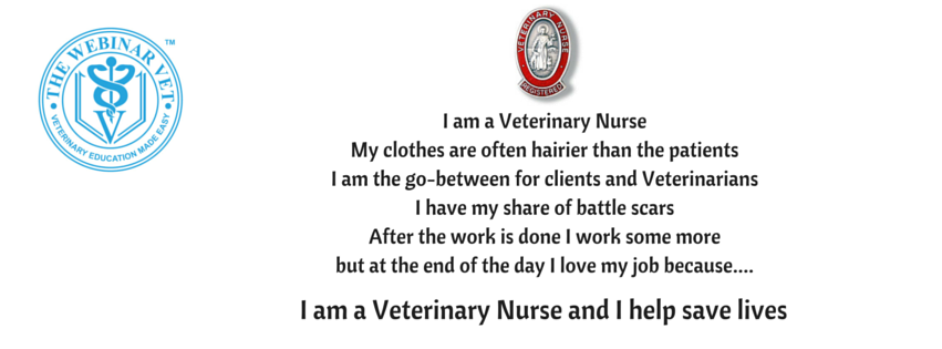 I am a Veterinary Nurse (4)