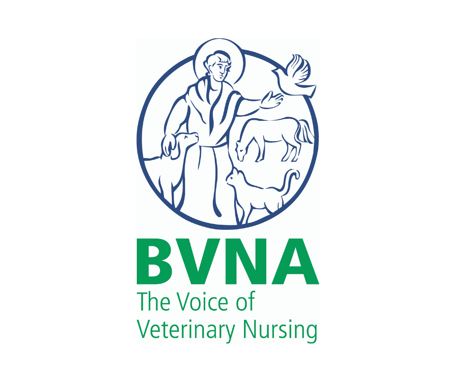 BVNA Logo
