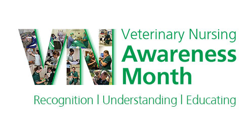 vn-awareness-month-logo_cropped33463