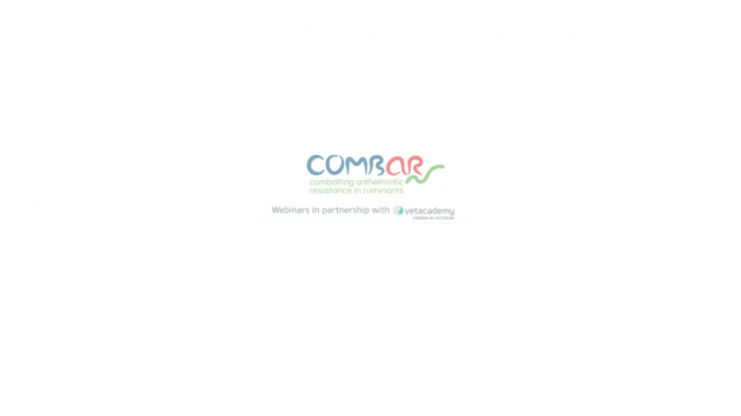 Copy of Copy of blog Post Header (28)