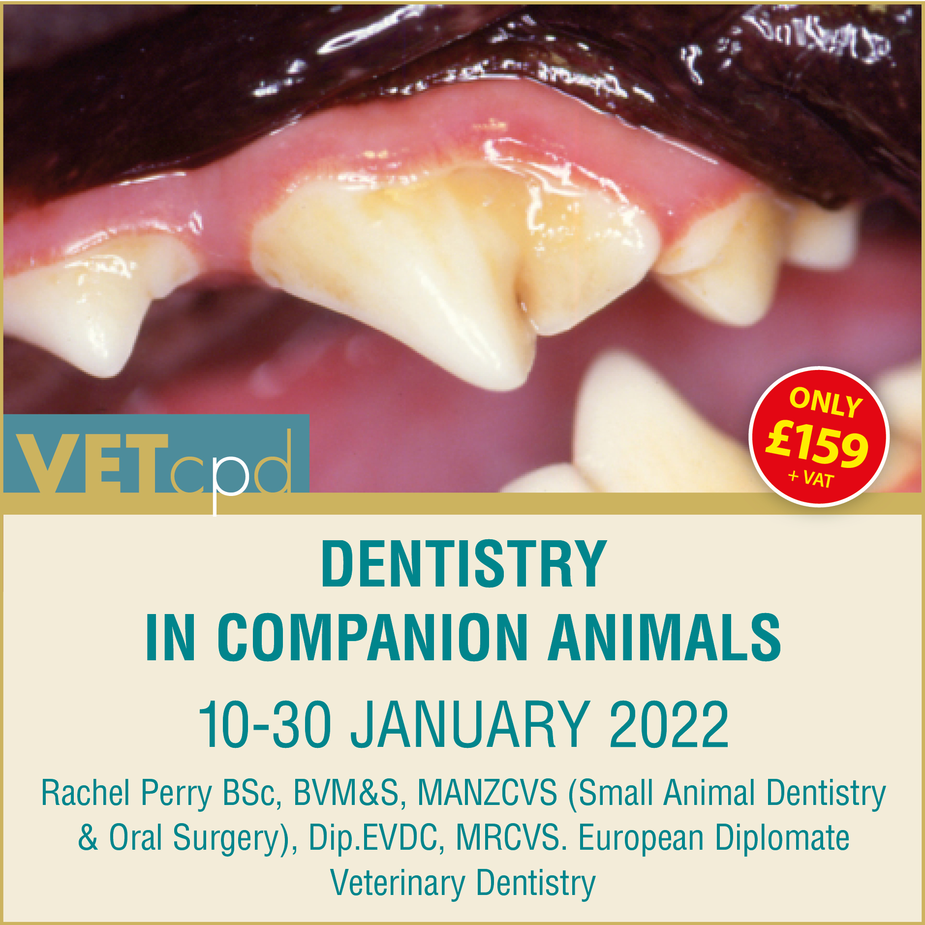 Dentistry January 2022 Insta