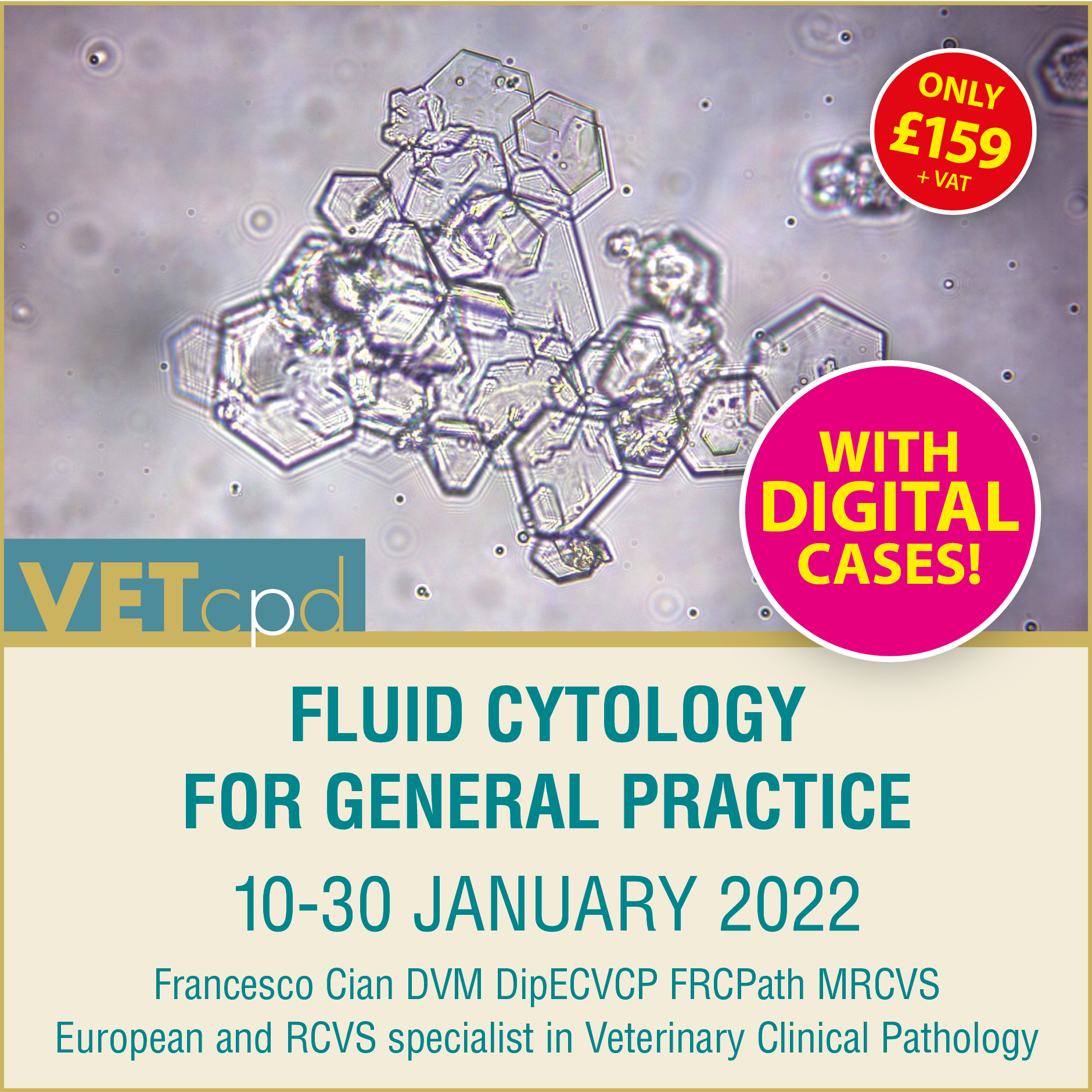 Fluid Cytology January 2022 Insta