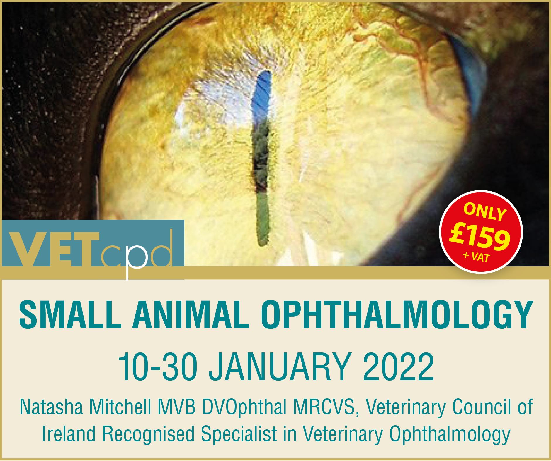 Ophthalmology January 2022 FB