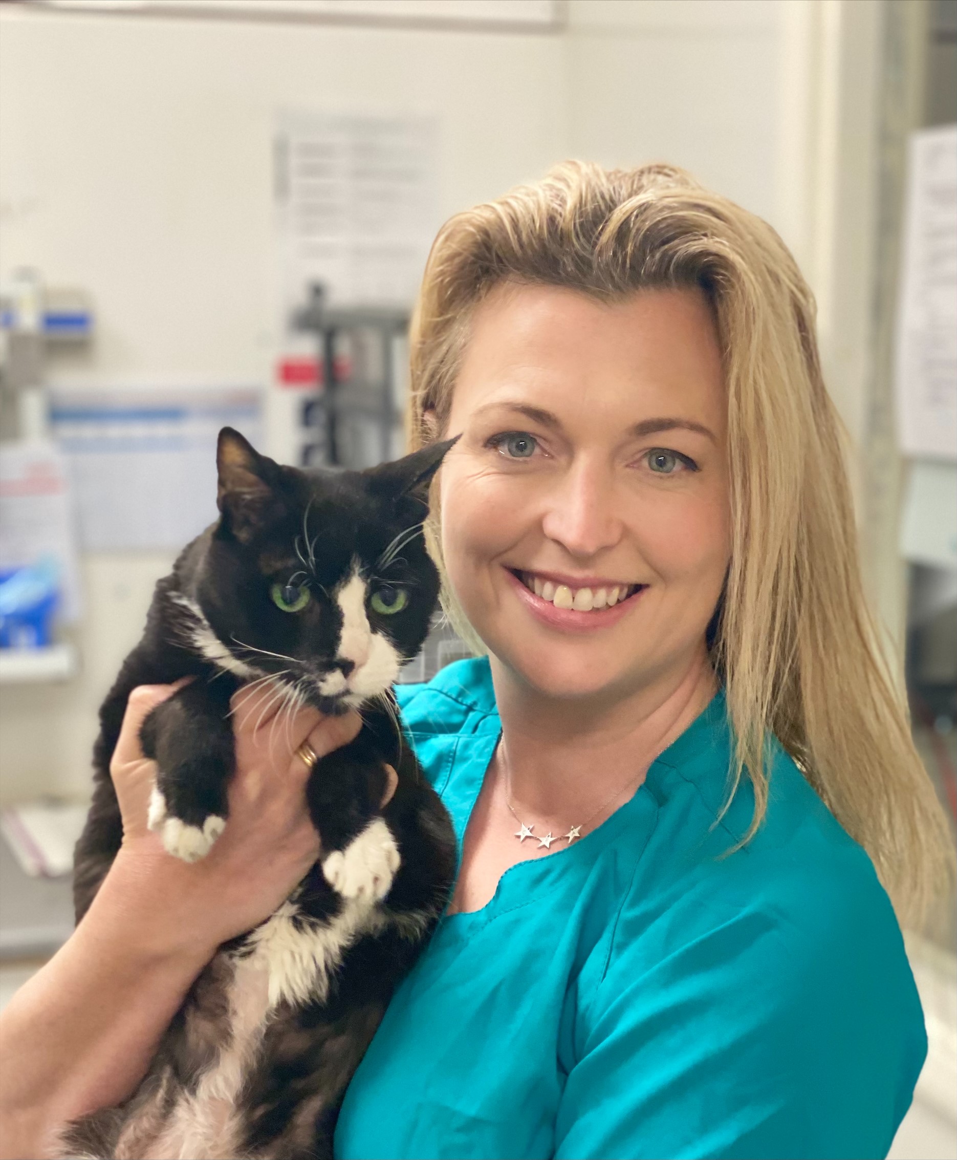 FHAM_CatTheVet Wendy Nevins RVN