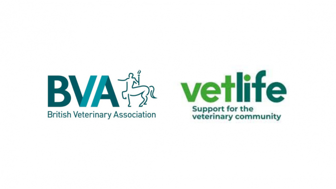 bva vet life