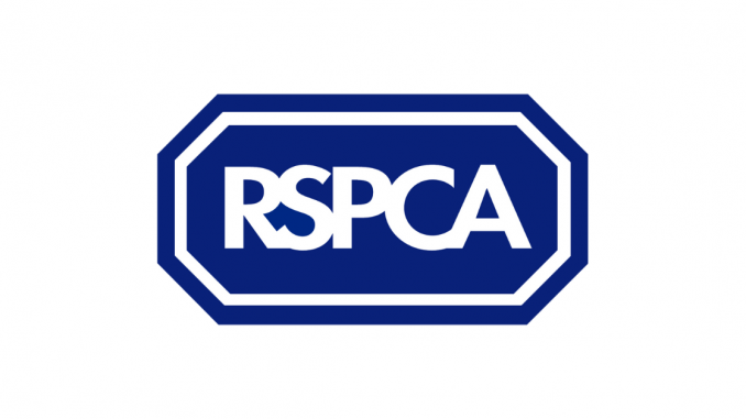 RSPCA (2)