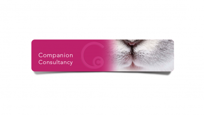 Copy of Copy of Copy of blog Post Header (4)